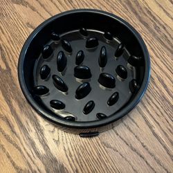Fancy Dog Dish