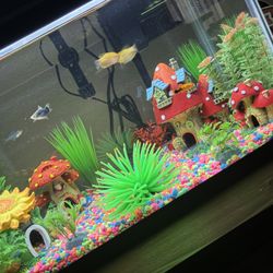 Fish Tank