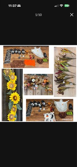 Halloween and fall stuff