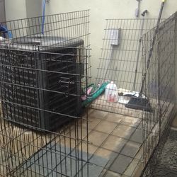 Xtra Large Dog/Pet Cage And Large