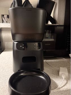 Auto cat feeder