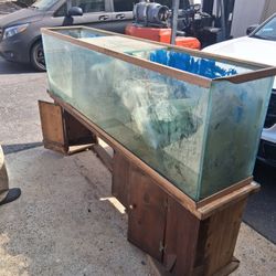 fish tank 100 gallon