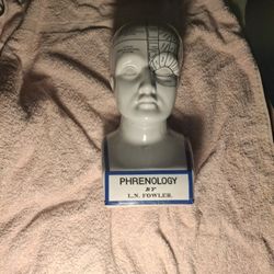 1950 Phrenology  Head