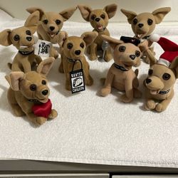 Taco Bell Cute Chihuahua Puppies