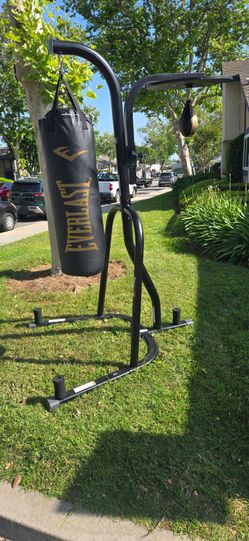 Punching bag and stand
