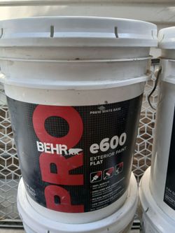 Exterior flat paint