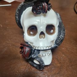 Skull Decore