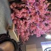 Shanice Joseph
