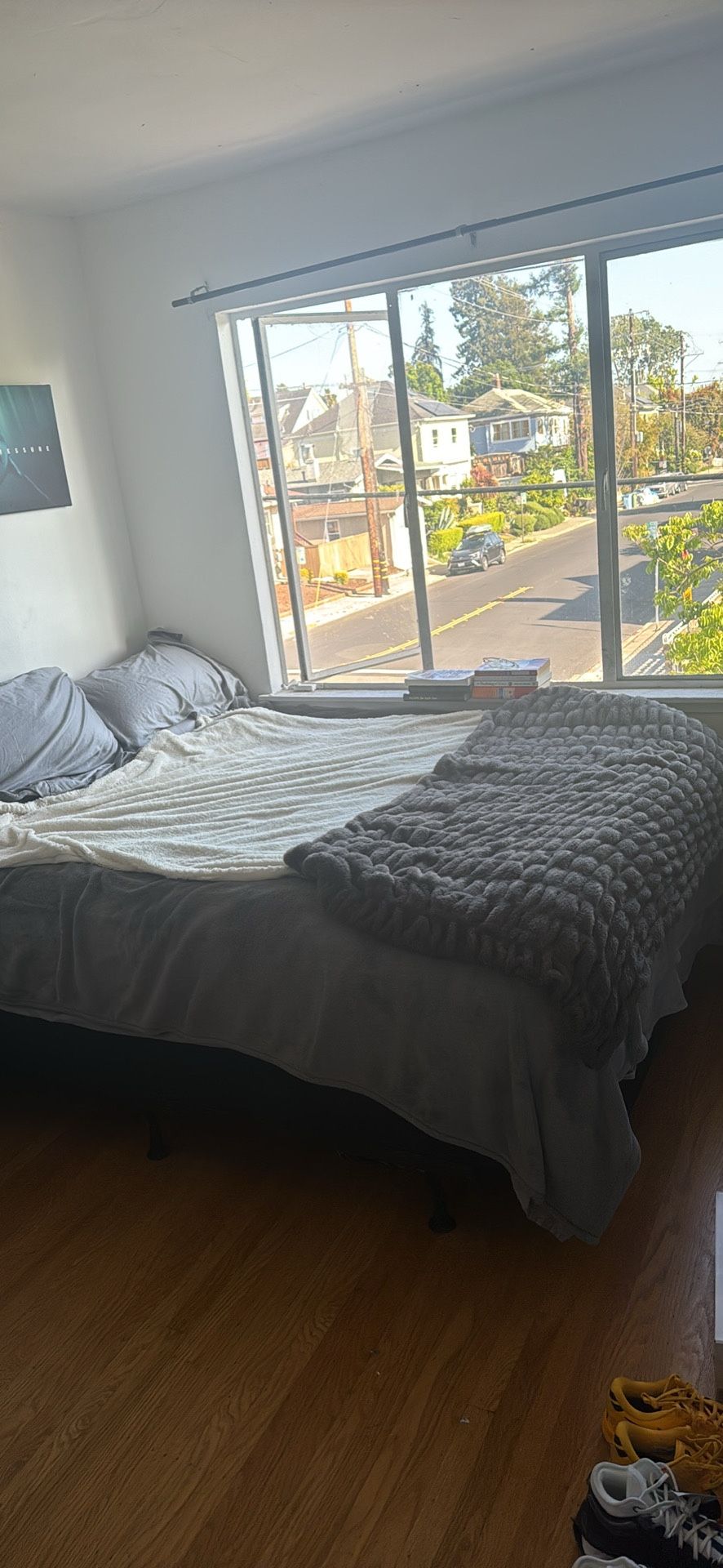 Queen Bed & Bed Frame