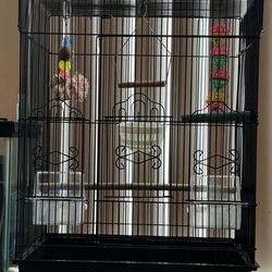 Bird Cage With Accessories
