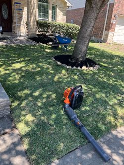Grass for sale