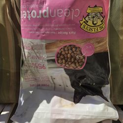 Cat Food  2 Bags 1 Box