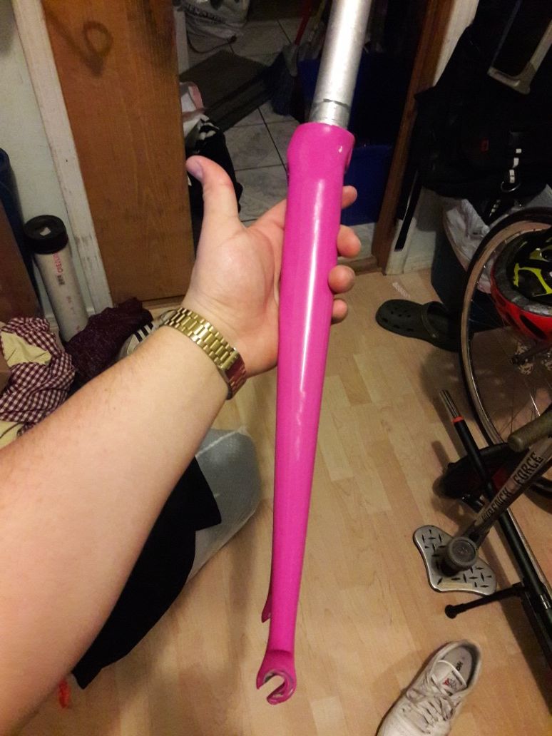 Carbon Bladed Fork