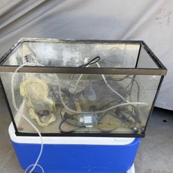10 Gallon Fish Tank W/accessories 