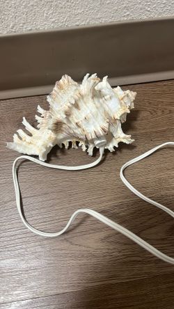shell lanter