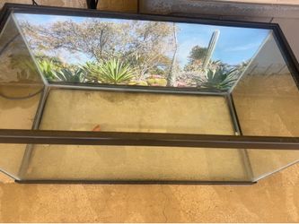 40 gallon aquarium