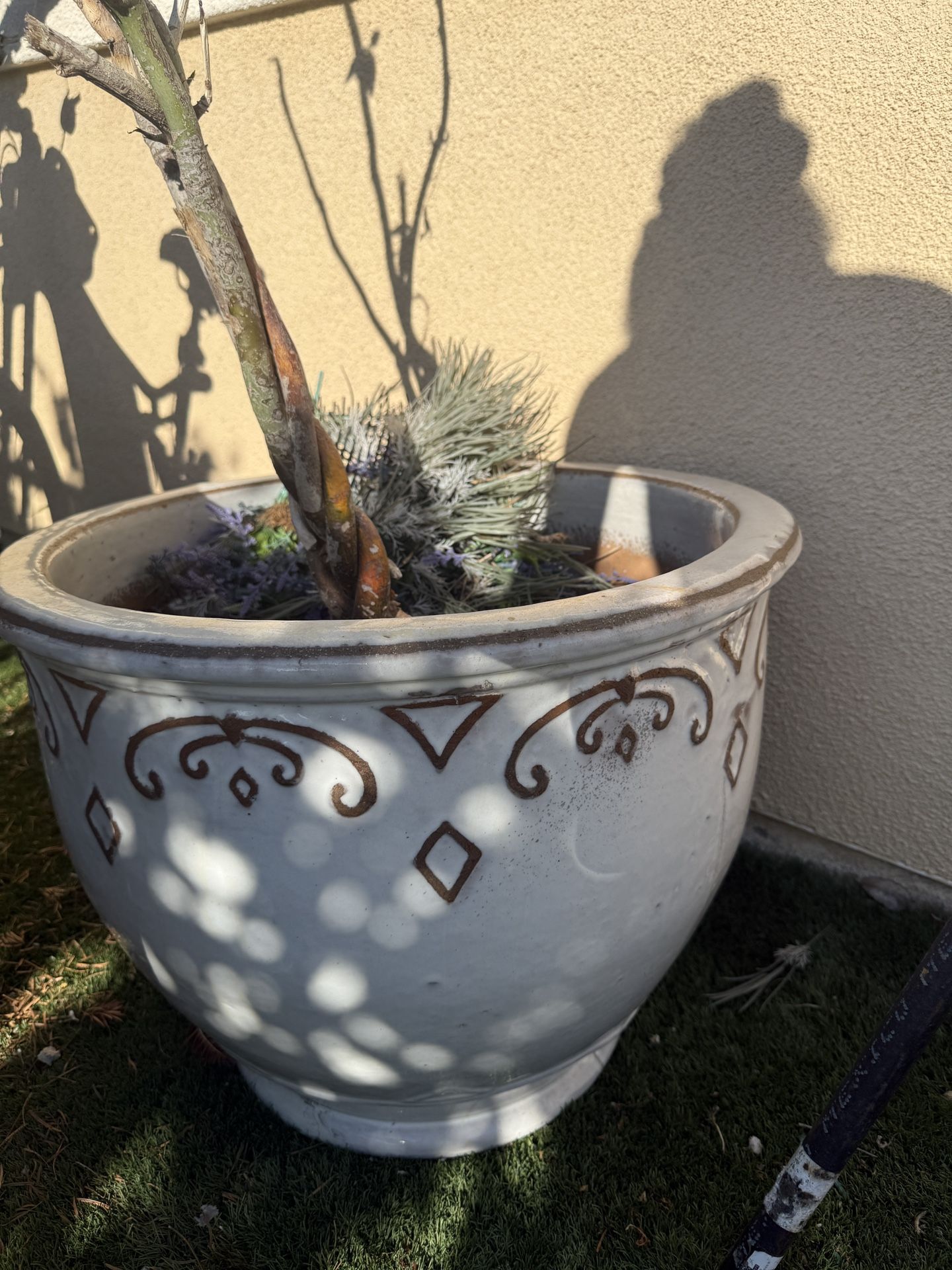 Big Planters