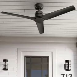 Outdoor/Indoor Ceiling Fan