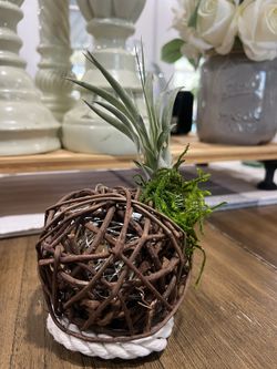 Succulent Plant Ornament Decoration