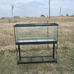 55 gallon fish tank with stand
