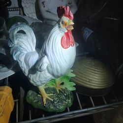 Rooster