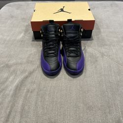 Air Jordan 12 Black Field purple 