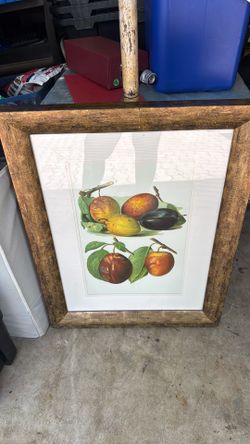 Fruit picture