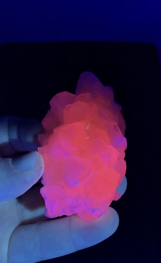 Impressively Fluorescent Mangano Calcite Lotus Flower Crystal