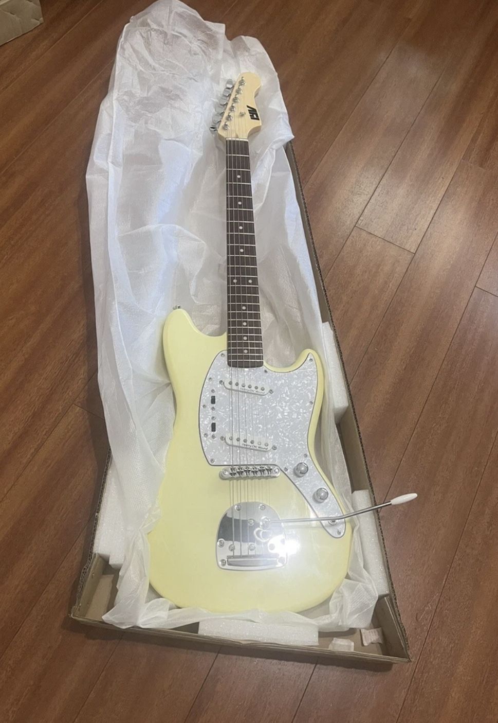 Electric Guitar