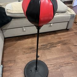 Kids Punching Bag