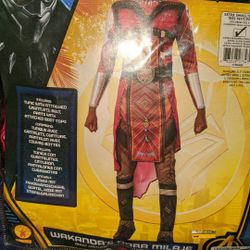 Black panther costumes