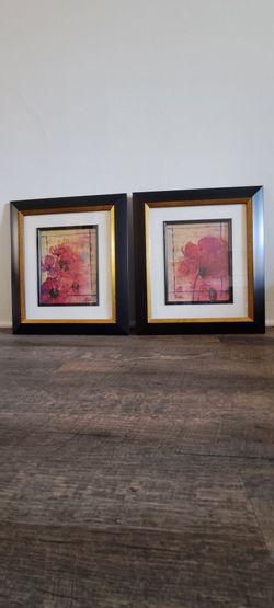 Set of 2 Framed Floral Art Prints