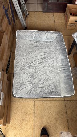 New Dog Bed