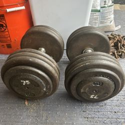 Commercial Style Dumbbell Pairs 70lb and  75lb
