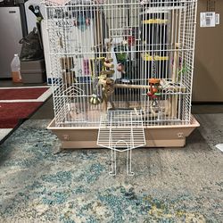 Bird cage