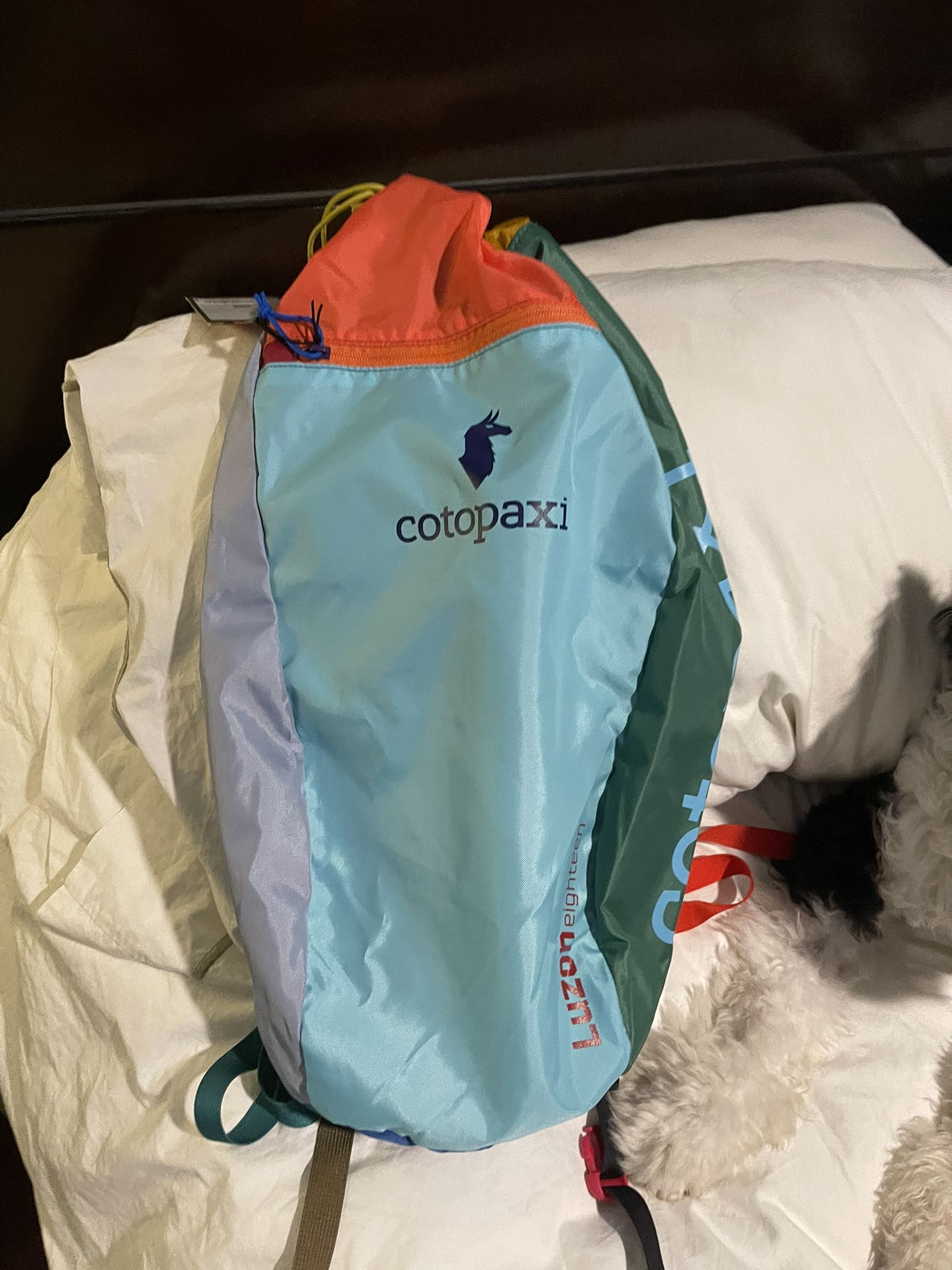 Cotopaxi Backpack  $30