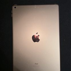 iPad Rose Apple 