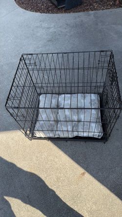 Kennel