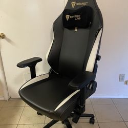 Secret Labs Titan Evo Gaming/office Chair. 