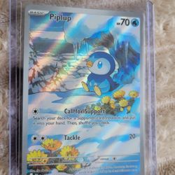 Pokemon Full Arts & EXs Mint Condition 