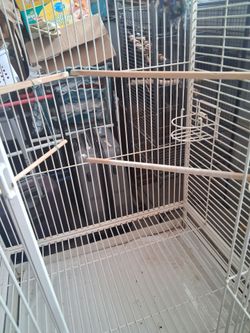 Parrot cage
