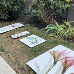 Art Gallery Floral, Nature