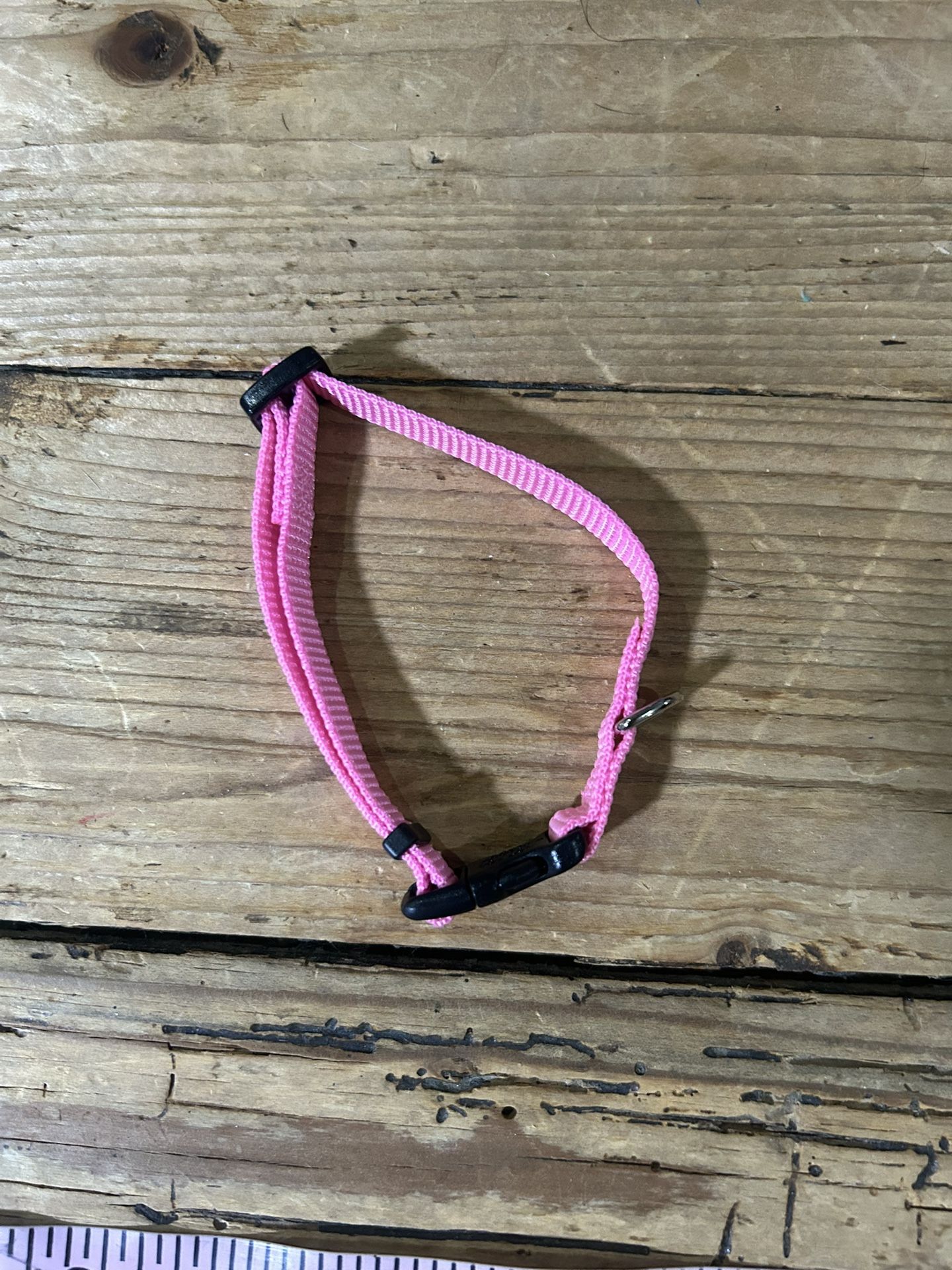 Pink Dog Collar