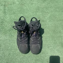 Jordan 6s