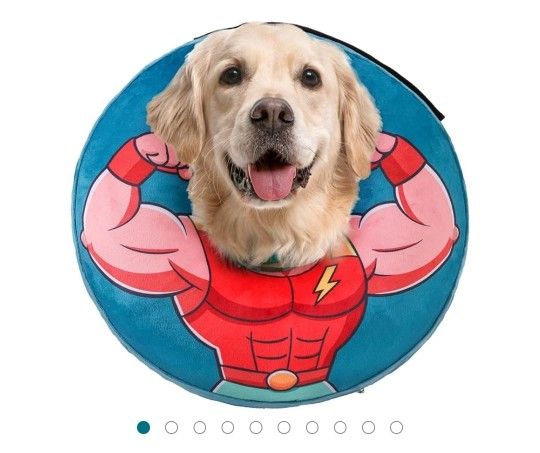 Dog Collar 