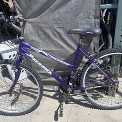 MAGNA  Bike 