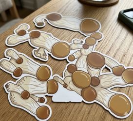 Mushroom gifts !!