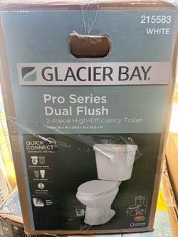 Glacier bay toilet