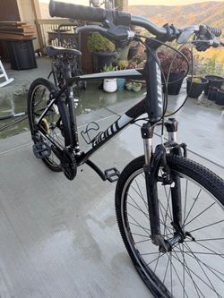 Adult mountain Bike