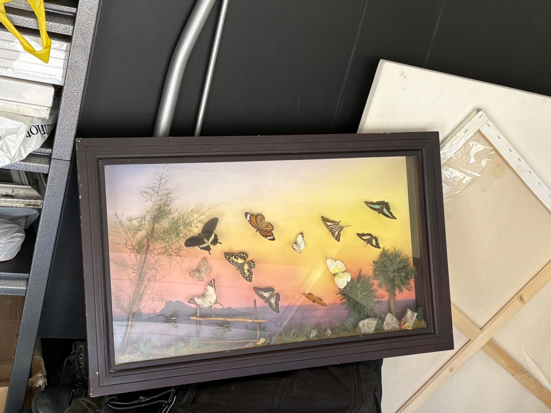 Pano Art